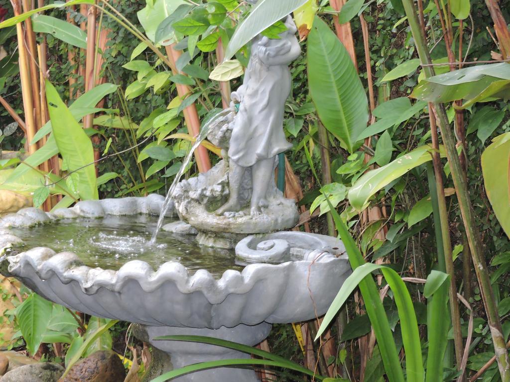 Pousada Don Alberto'S Florianópolis Εξωτερικό φωτογραφία